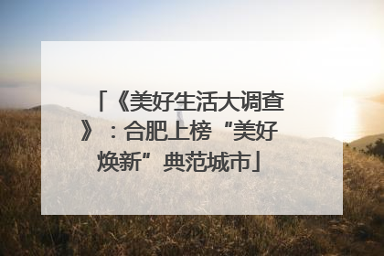 《美好生活大调查》：合肥上榜“美好焕新”典范城市