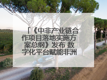 《中非产业链合作项目落地实施方案总纲》发布 数字化平台赋能非洲发展驶入快车道