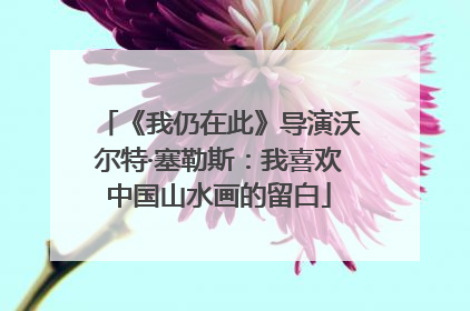 《我仍在此》导演沃尔特·塞勒斯：我喜欢中国山水画的留白