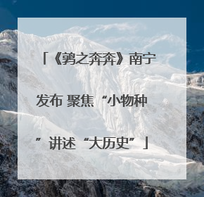 《鹑之奔奔》南宁发布 聚焦“小物种”讲述“大历史”