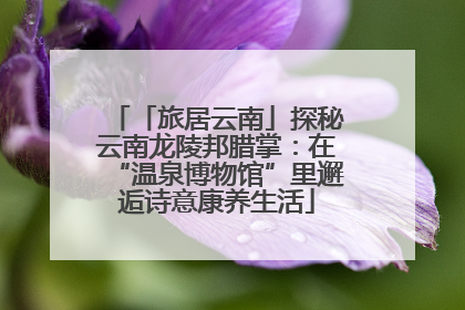 「旅居云南」探秘云南龙陵邦腊掌：在“温泉博物馆”里邂逅诗意康养生活
