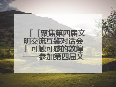 「聚焦第四届文明交流互鉴对话会」可触可感的敦煌——参加第四届文明交流互鉴对话会的外宾参观上元市集