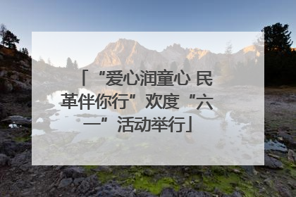 “爱心润童心 民革伴你行”欢度“六一”活动举行