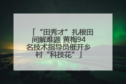 “田秀才”扎根田间解难题 黄梅94名技术指导员催开乡村“科技花”