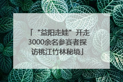 “益阳走娃”开走 3000余名参赛者探访桃江竹林秘境