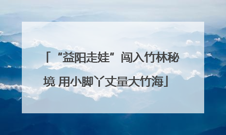 “益阳走娃”闯入竹林秘境 用小脚丫丈量大竹海