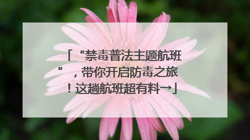 “禁毒普法主题航班”，带你开启防毒之旅！这趟航班超有料→