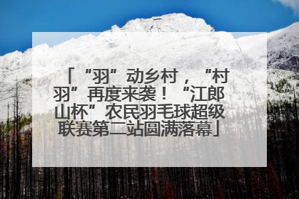 “羽”动乡村，“村羽”再度来袭！“江郎山杯”农民羽毛球超级联赛第二站圆满落幕