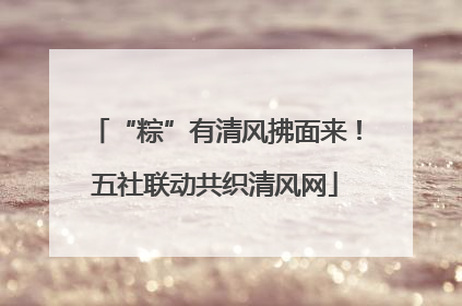 “粽”有清风拂面来！五社联动共织清风网