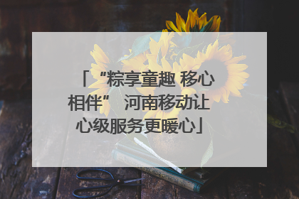 “粽享童趣 移心相伴” 河南移动让心级服务更暖心