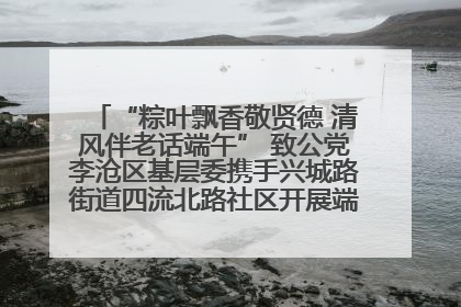 “粽叶飘香敬贤德 清风伴老话端午” 致公党李沧区基层委携手兴城路街道四流北路社区开展端午节主题活动