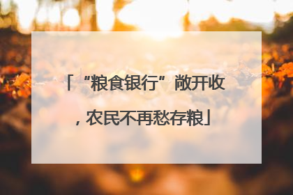 “粮食银行”敞开收，农民不再愁存粮