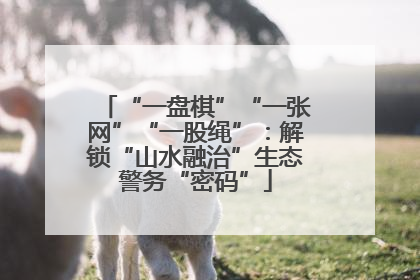 “一盘棋”“一张网”“一股绳”：解锁“山水融治”生态警务“密码”