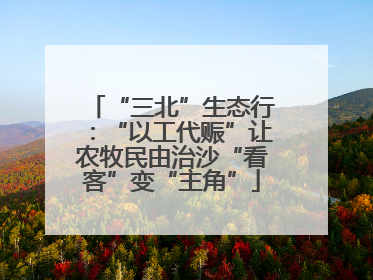“三北”生态行：“以工代赈”让农牧民由治沙“看客”变“主角”