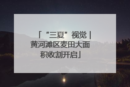 “三夏”视觉｜黄河滩区麦田大面积收割开启