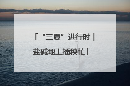 “三夏”进行时｜盐碱地上插秧忙