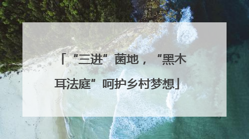 “三进”菌地，“黑木耳法庭”呵护乡村梦想