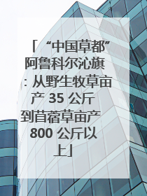 “中国草都” 阿鲁科尔沁旗：从野生牧草亩产 35 公斤到苜蓿草亩产 800 公斤以上