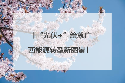 “光伏+”绘就广西能源转型新图景