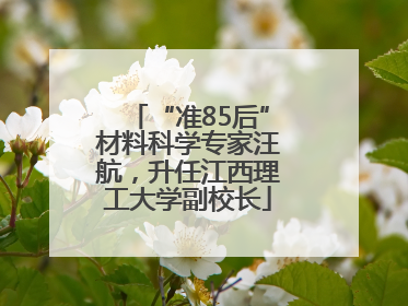 “准85后”材料科学专家汪航，升任江西理工大学副校长