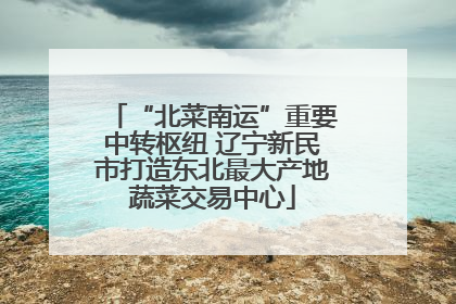 “北菜南运”重要中转枢纽 辽宁新民市打造东北最大产地蔬菜交易中心