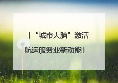 “城市大脑”激活航运服务业新动能