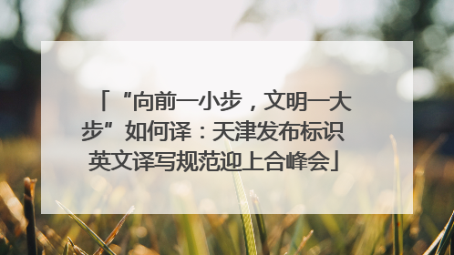 “向前一小步，文明一大步”如何译：天津发布标识英文译写规范迎上合峰会