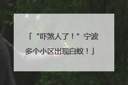 “吓煞人了！”宁波多个小区出现白蚁！