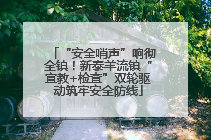 “安全哨声”响彻全镇！新泰羊流镇“宣教+检查”双轮驱动筑牢安全防线