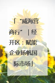 “威海营商行”｜经开区：赋能企业扬帆国际市场