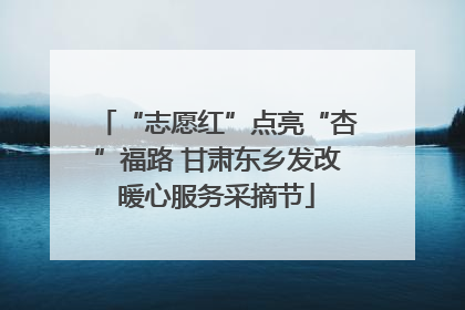 “志愿红”点亮“杏”福路 甘肃东乡发改暖心服务采摘节