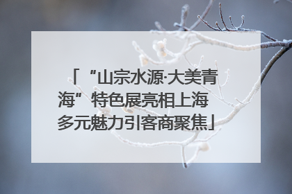 “山宗水源·大美青海”特色展亮相上海 多元魅力引客商聚焦