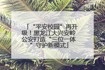 “平安校园”再升级！黑龙江大兴安岭公安打造“三位一体”守护新模式