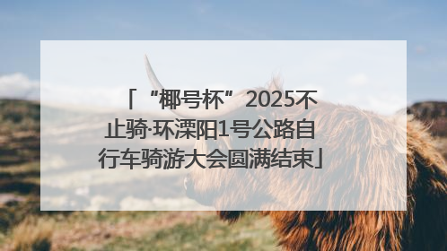 “椰号杯”2025不止骑·环溧阳1号公路自行车骑游大会圆满结束
