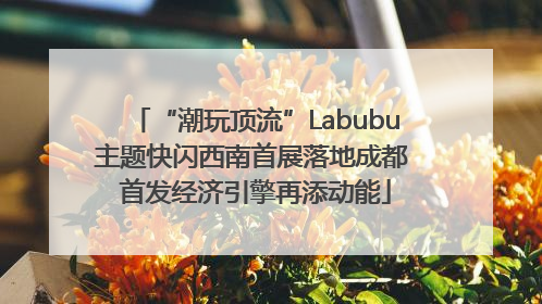 “潮玩顶流”Labubu主题快闪西南首展落地成都 首发经济引擎再添动能