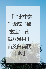 “水中参”变成“致富宝” 南漳八泉村千亩茭白喜获丰收