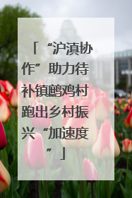 “沪滇协作”助力待补镇鹧鸡村跑出乡村振兴“加速度”