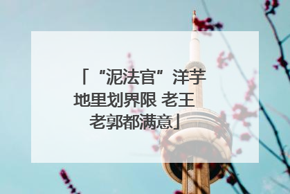 “泥法官”洋芋地里划界限 老王老郭都满意