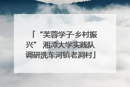 “芙蓉学子·乡村振兴” 湘潭大学实践队调研洗车河镇老洞村