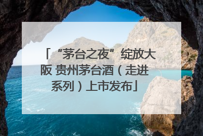 “茅台之夜”绽放大阪 贵州茅台酒（走进系列）上市发布
