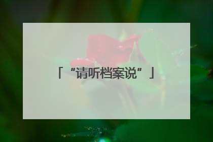 “请听档案说”