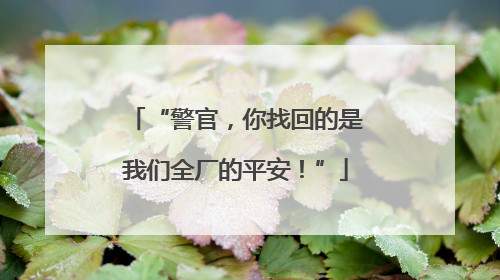 “警官，你找回的是我们全厂的平安！”