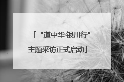 “道中华·银川行”主题采访正式启动
