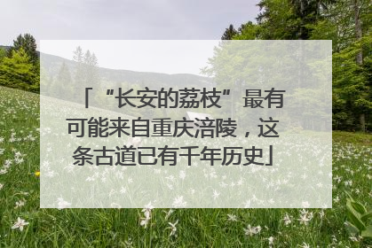 “长安的荔枝”最有可能来自重庆涪陵，这条古道已有千年历史