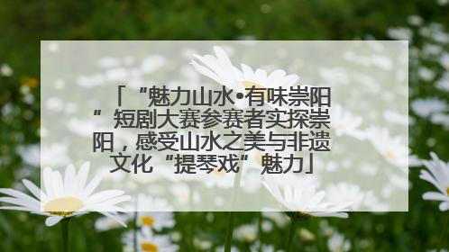 “魅力山水•有味崇阳”短剧大赛参赛者实探崇阳，感受山水之美与非遗文化“提琴戏”魅力