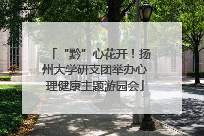 “黔”心花开！扬州大学研支团举办心理健康主题游园会