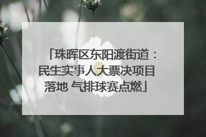 珠晖区东阳渡街道：民生实事人大票决项目落地 气排球赛点燃