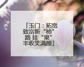 玉门：拓宽致富新“柿”路 挂“果”丰收笑满颜