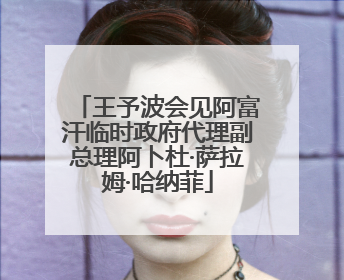 王予波会见阿富汗临时政府代理副总理阿卜杜·萨拉姆·哈纳菲