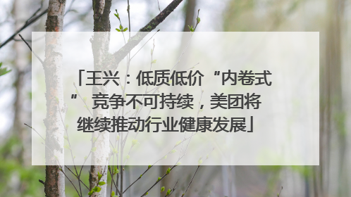 王兴：低质低价“内卷式” 竞争不可持续，美团将继续推动行业健康发展